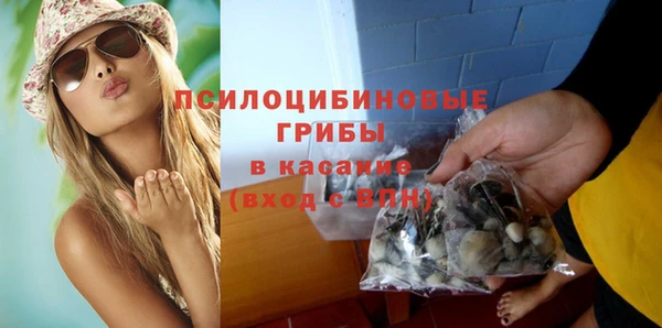 эйфоретик Алзамай