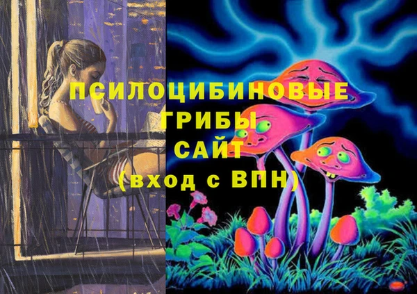 герыч Абаза