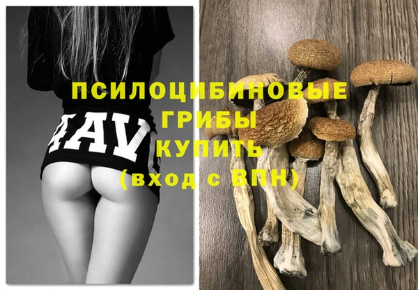 герыч Абаза