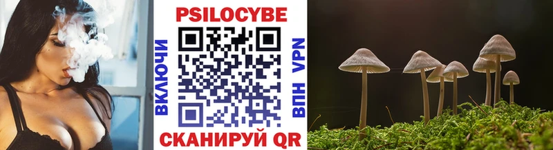 Галлюциногенные грибы MAGIC MUSHROOMS Белая Калитва