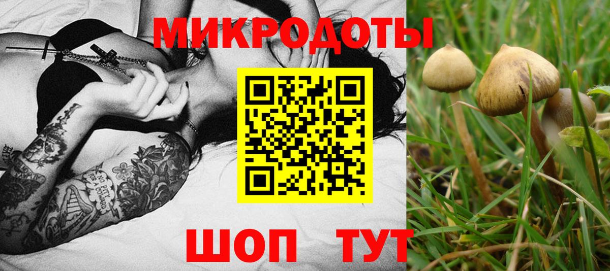 Галлюциногенные грибы ЛСД Белая Калитва